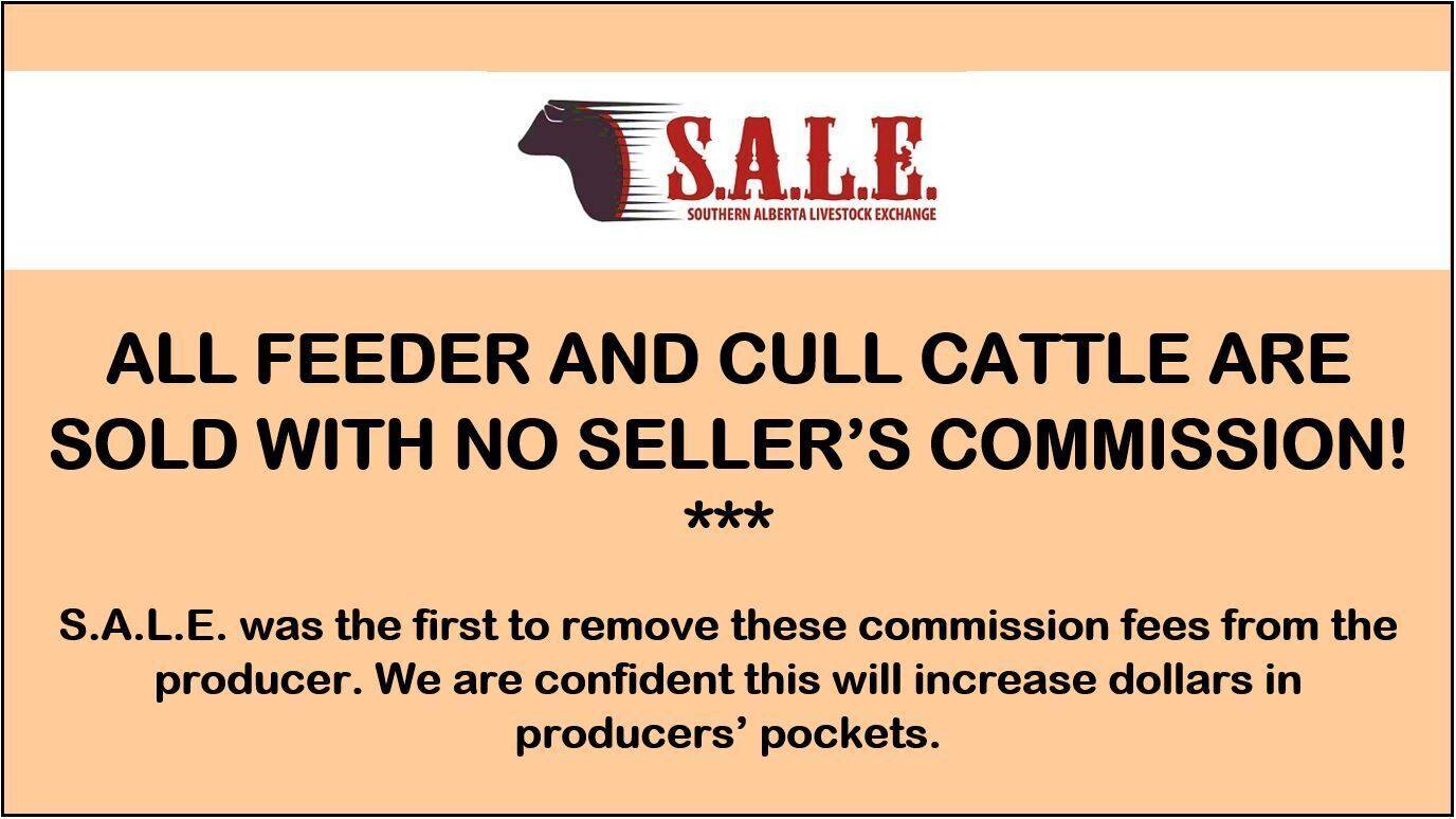 All Feeder and cull cattle are sold with no sellers commission